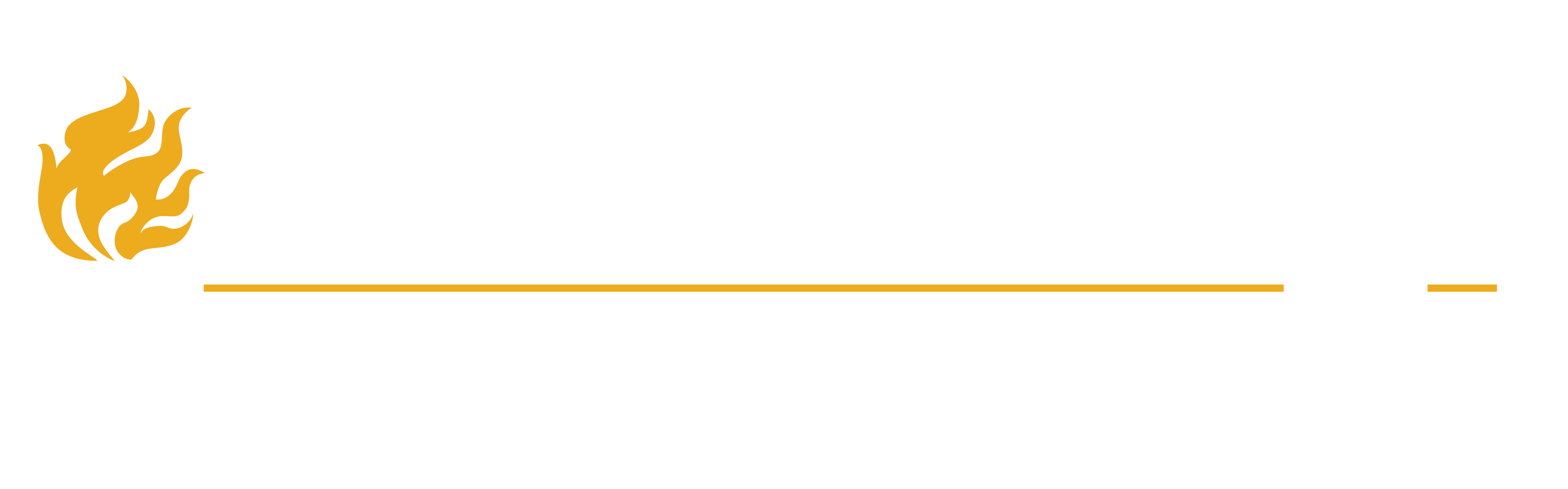 Projectlogo